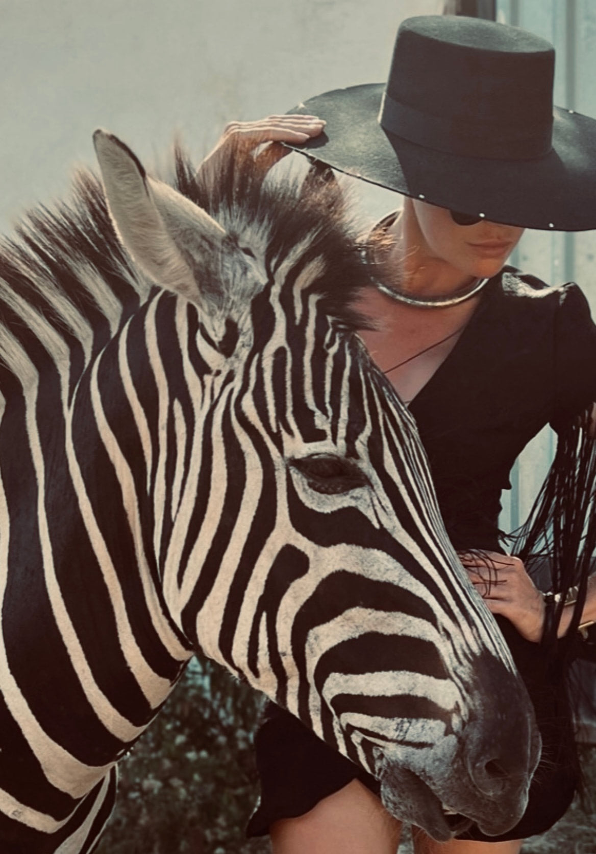 Snake Jacquard Black Dress PRE-ORDER