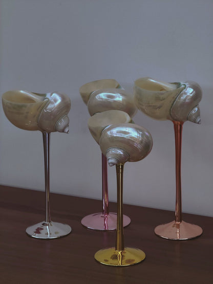 Seashell Glass